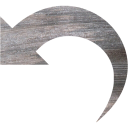 undo 4 icon
