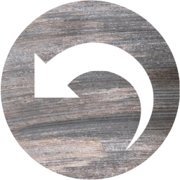 undo 5 icon