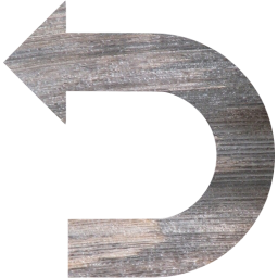 undo icon