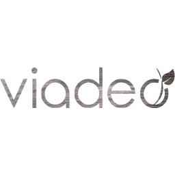 viadeo 2 icon