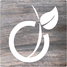 viadeo 5 icon