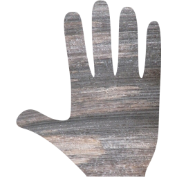 whole hand icon