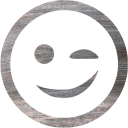 wink icon