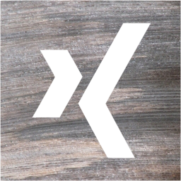 xing 2 icon