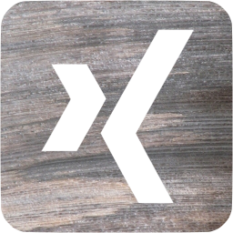 xing 3 icon