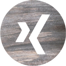 xing 4 icon