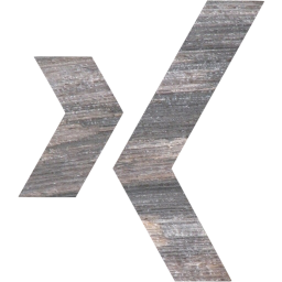 xing icon