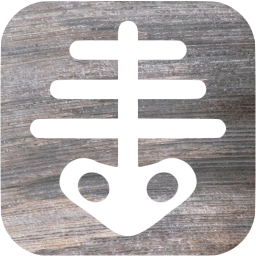 xray icon