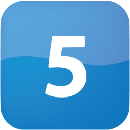 5 filled icon