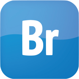 adobe br icon