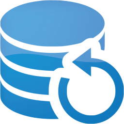 data backup icon