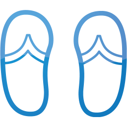 flip flops icon