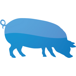 pig 4 icon