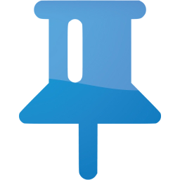 pin 2 icon