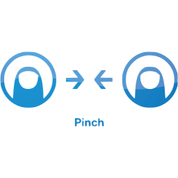 pinch 2 icon