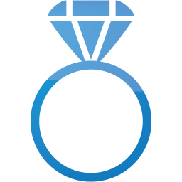 ring 2 icon