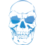 skull 41