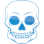 skull 55