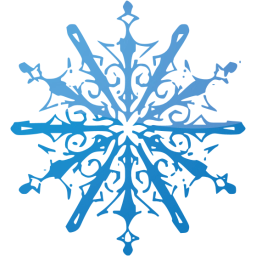 snowflake 10 icon