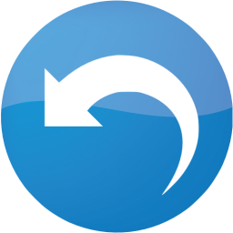 undo 5 icon