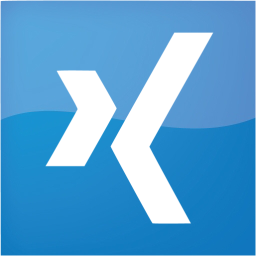 xing 2 icon