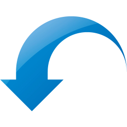 action undo icon