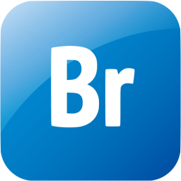 adobe br icon
