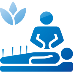 alternative medicine icon