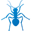 ant