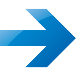 arrow 21 icon