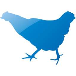 chicken 2 icon