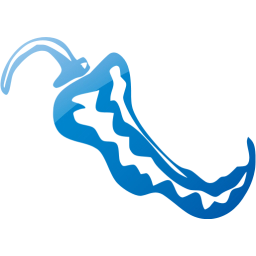 chili pepper 4 icon