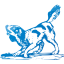 dog 22