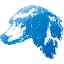 dog 27