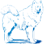 dog 4