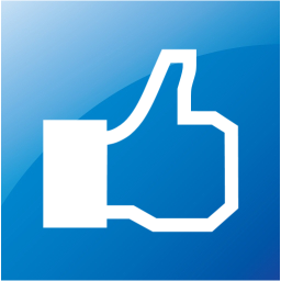 facebook like 2 icon
