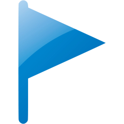 filled flag icon