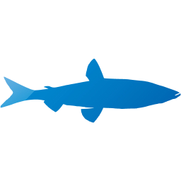 fish 6 icon