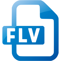 flv icon