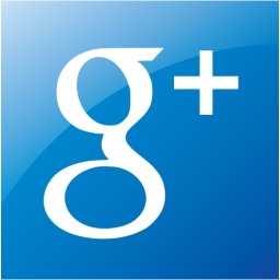 google plus 2 icon