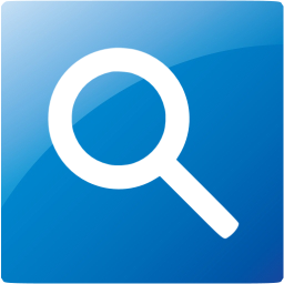 google web search icon