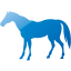 horse 4