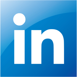 linkedin 2 icon