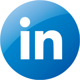 linkedin 4 icon