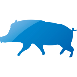 pig 10 icon