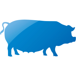 pig 3 icon