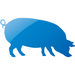 pig 4 icon