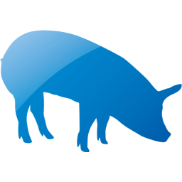 pig 5 icon