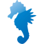sea horse