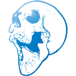 skull 21 icon